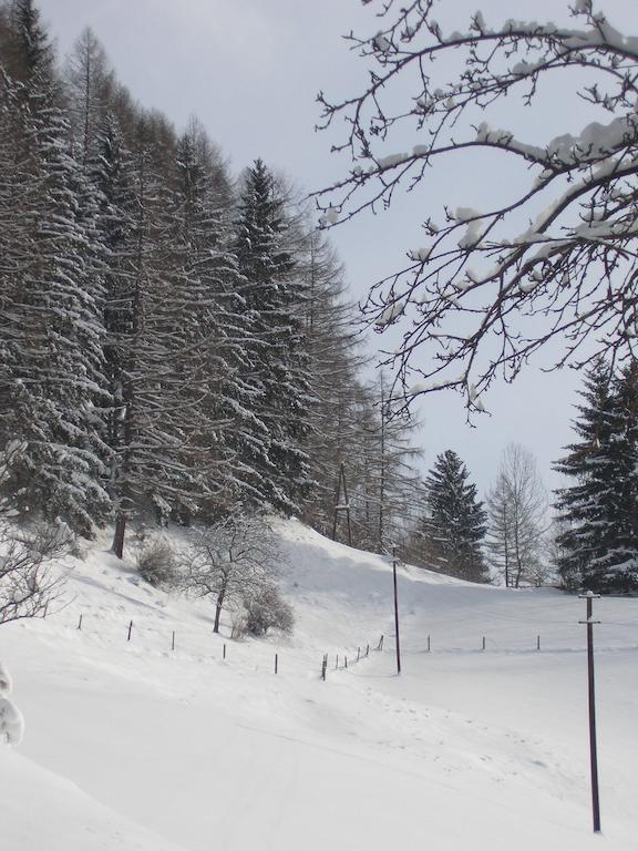 Gasthof Trattner Pension Waldhof Sankt Peter am Kammersberg Dış mekan fotoğraf
