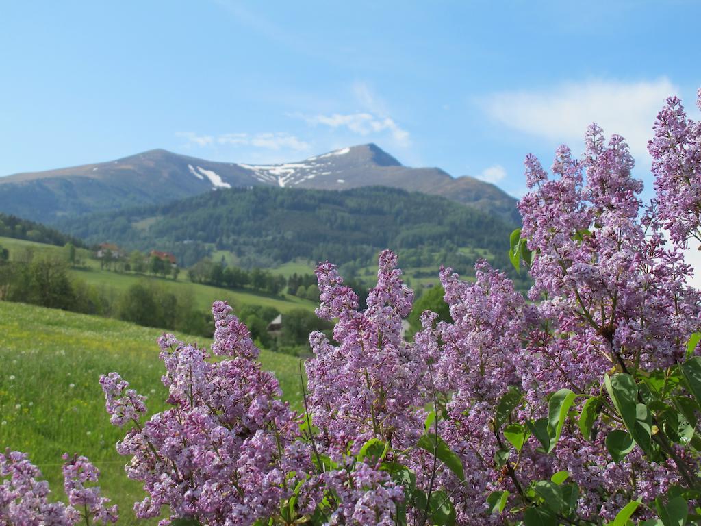 Gasthof Trattner Pension Waldhof Sankt Peter am Kammersberg Dış mekan fotoğraf